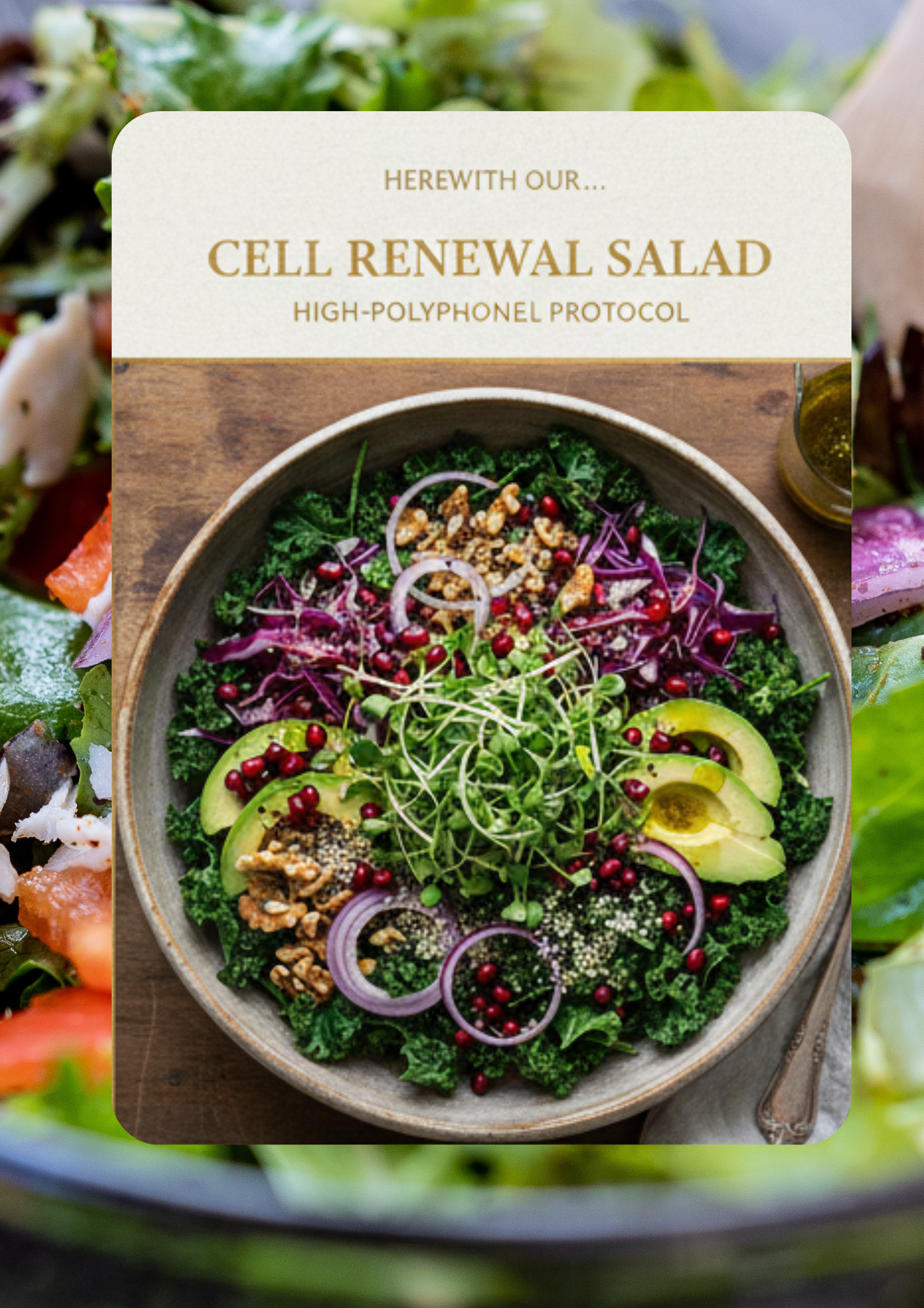 Rejuher Wellness Guide #3