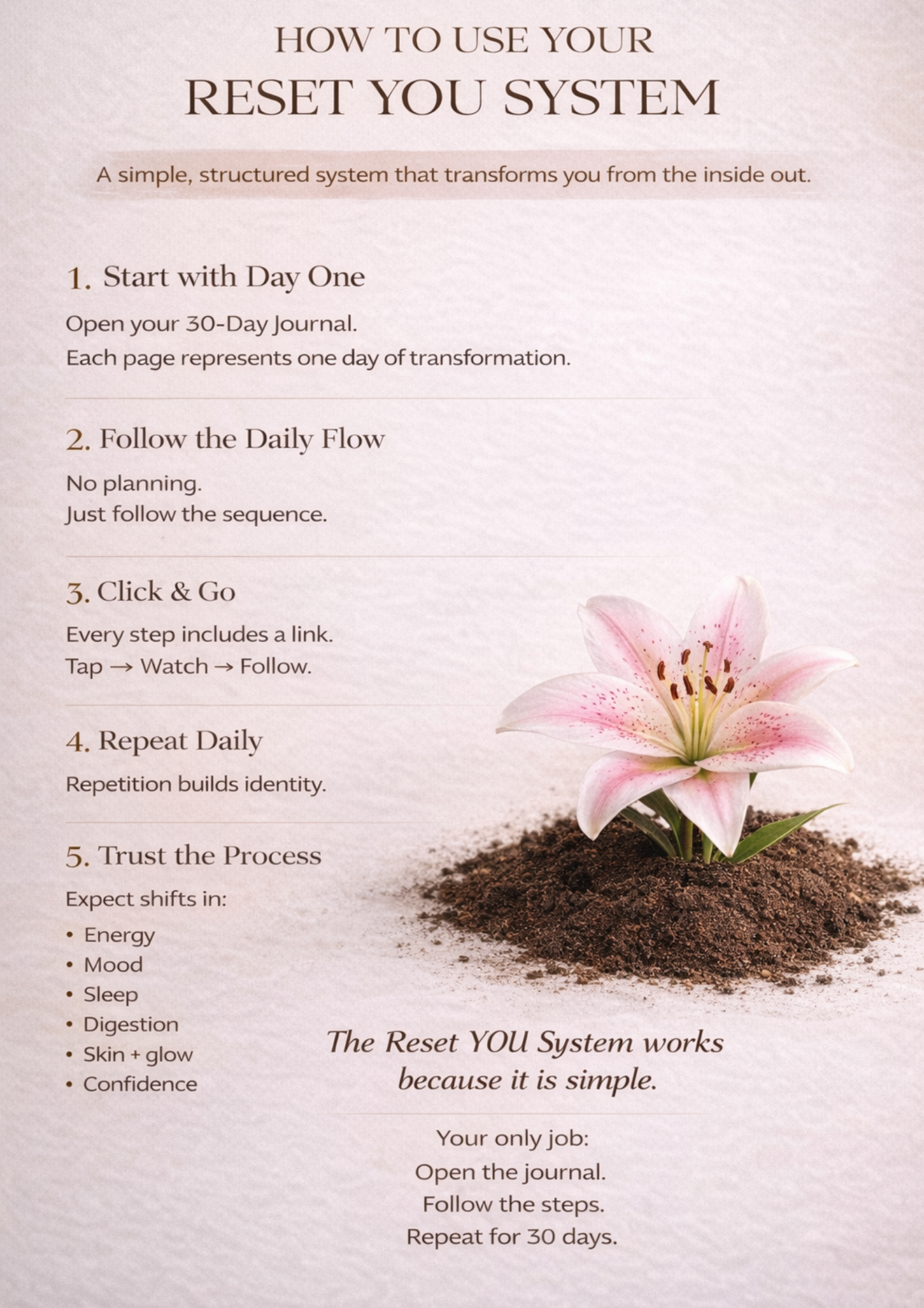 Rejuher Wellness Guide #4