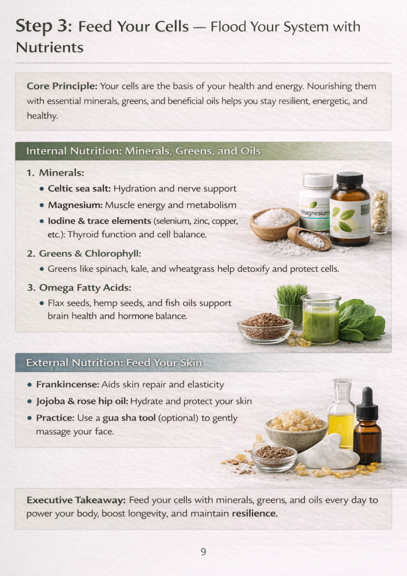 Rejuher Wellness Guide #3